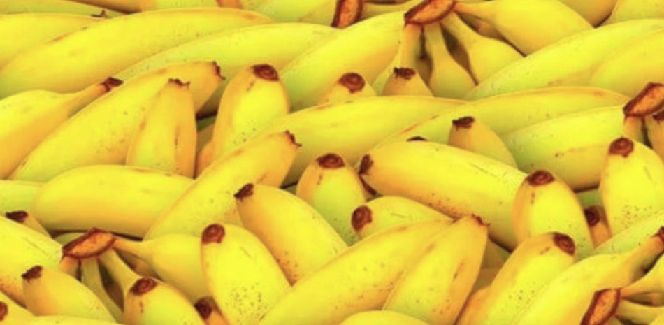 La producción de bananos genera miles de empleos.