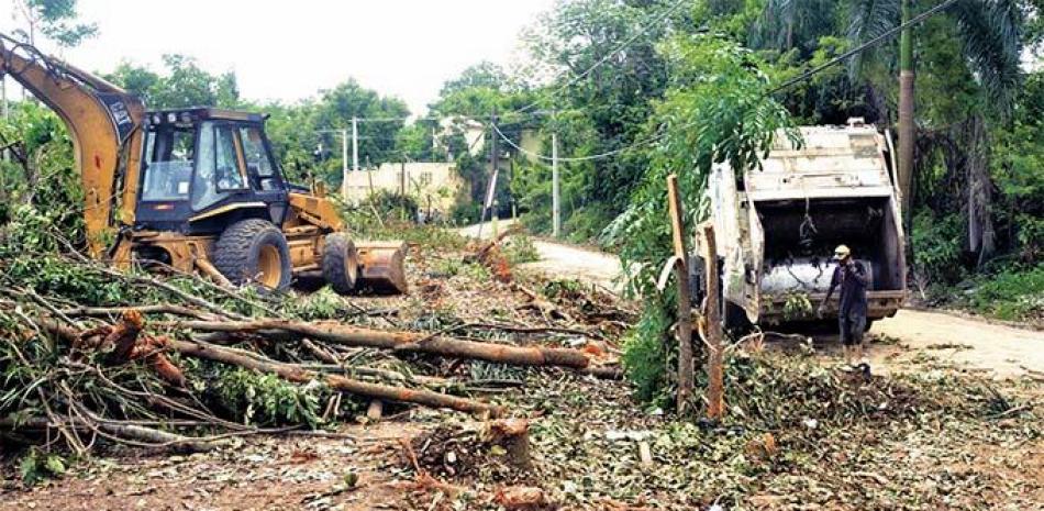 La tala de árboles no tiene permiso del Ministerio de Medio Ambiente. LEONEL MATOS /LD