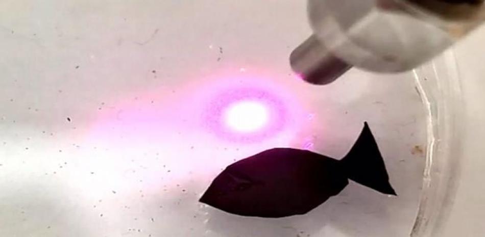 Aspecto del nuevo micro-robot con aspecto de pez movio por luz y que recoge microplástico