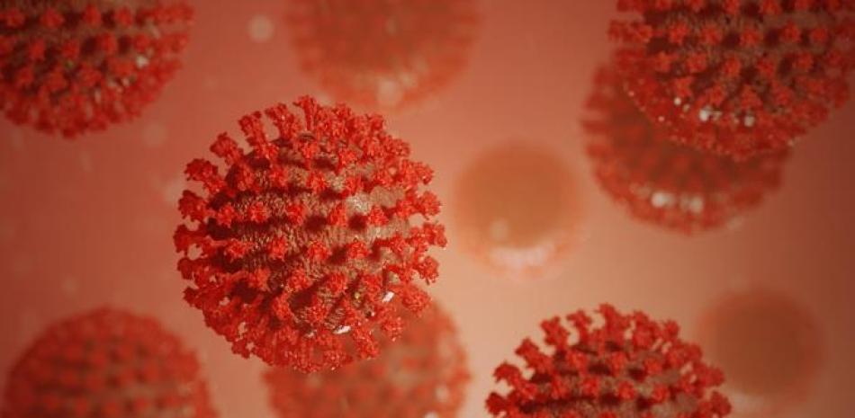 Coronavirus. 

Foto: Fuente Externa.
