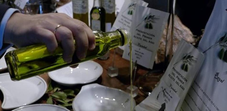 Cata de aceite en Jaén. Hay tres clases de aceite: aceite de oliva virgen extra, que es el de mayor calidad y sin ningún defecto; aceite de oliva virgen, que es de calidad, aunque puede tener algún defecto organoléptico y el aceite de orujo de oliva. Foto: José Manuel Pedrosa/EFE.
