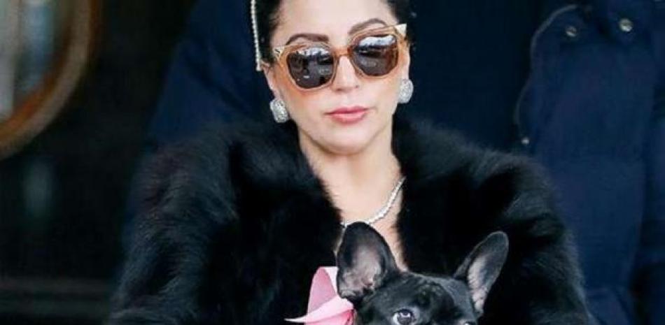 Lady Gaga y uno de sus perros/ foto de archivo