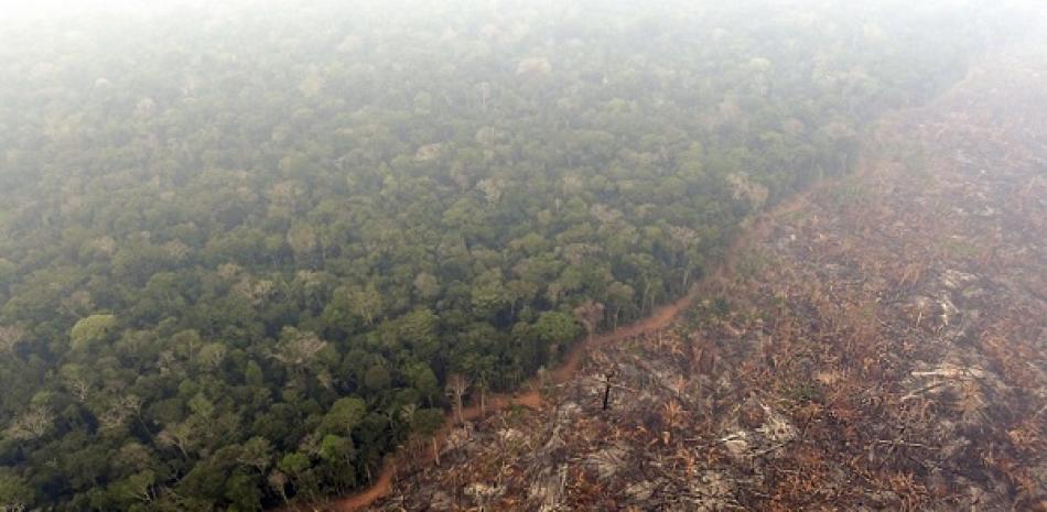 La Amazonia. AFP