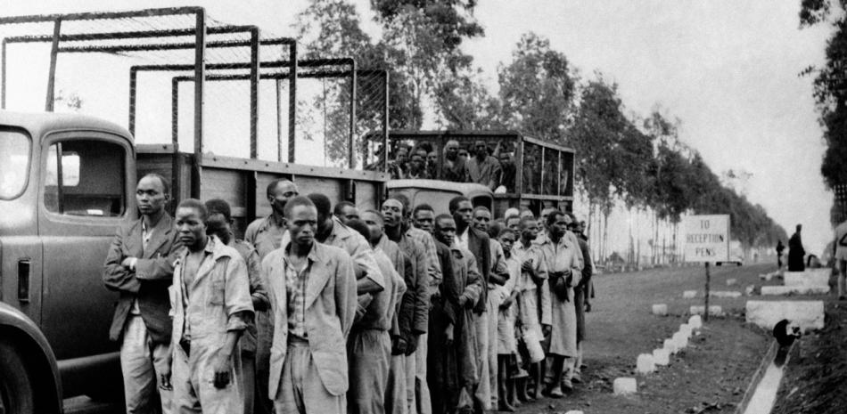 Dos camiones que trasladaban a personas kikuyu llegan a un campo a las afueras de Nairobi, Kenia, el 28 de abril de 1954, después de que 5.000 soldados británicos y 1.000 policías armados detuvieran a entre 30.000 y 40.000 hombres. La operación siguió a la ruptura de la invitación a rendirse de las autoridades tras la captura del "General China" de la Rebelión Mau Mau. Muchos de los hombres fueron liberados tras su registro. Otros fueron enviados a campos de detención. (AP Foto, File)