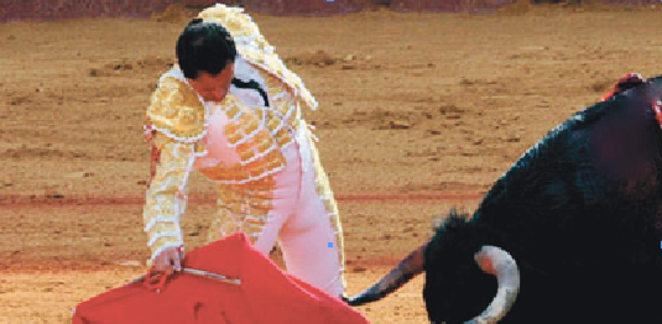 Las corridas de Toro nacieron en España. Son espectáculos violentos que siguen una tradición popular: el hombre frente a la bestia.