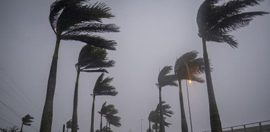 El viento sopla palmeras por el huracán Ian en Charlotte Harbor, Florida. Foto: AFP.