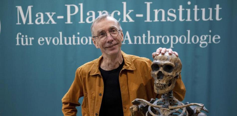 El científico sueco Svante Paabo junto a una réplica de un esqueleto de neandertal en el Instituto Max Planck de Antropología Evolutiva en Leipzig, Alemania, ayer. ap