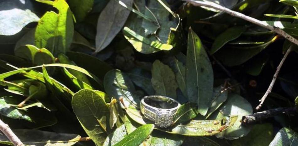 Esta foto sin fecha proporcionada por Ashley Garner muestra su anillo de boda perdido  tirado en un montón de maleza tras el paso del huracán Ian por la zona, en Fort Myers, Florida. Foto: AP.