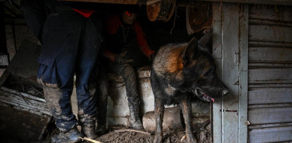 Un perro pastor belga, miembro de los bomberos del estado Aragua, busca víctimas entre los escombros de una casa destruida, días después de un devastador deslizamiento de tierra en la ciudad de Las Tejerias, estado Aragua, Venezuela, el 12 de octubre de 2022.
Federico Parra / AFP