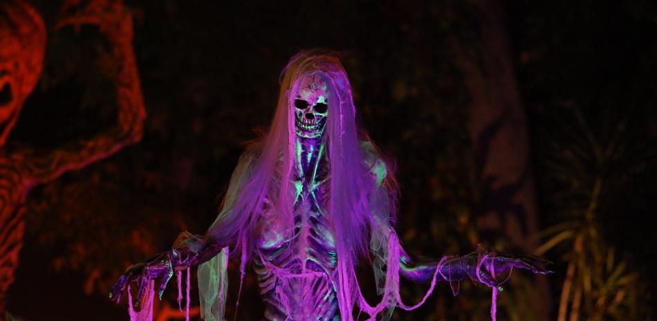 Celebración de Halloween. AFP.