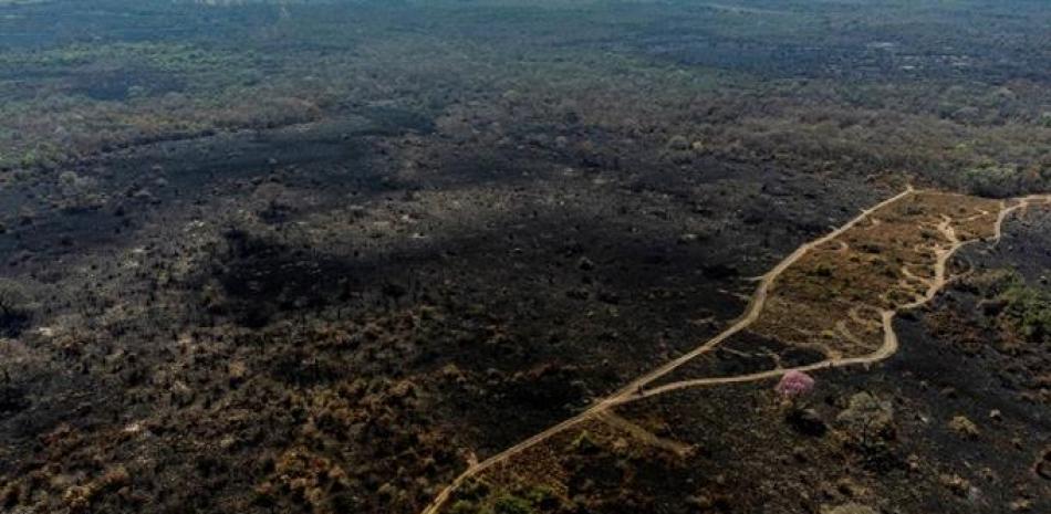 Fotografía aérea tomada con dron que muestra sectores quemados por un incendio , en la región del Pantanal (Brasil). EFE/ Rogerio Florentino