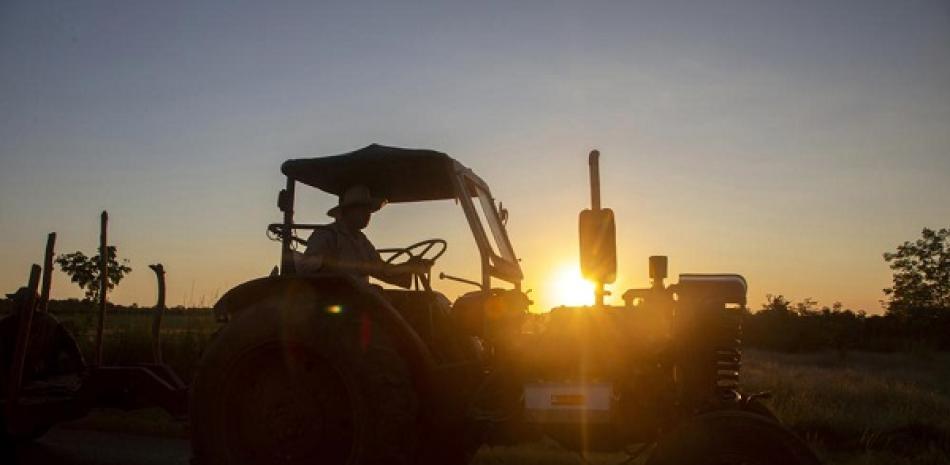 Un hombre maneja un tractor al amanecer en Batabanó, Cuba, 25 de octubre de 2022. Cuba padece sequías más prolongadas, aguas más cálidas, tormentas más intensas y niveles del mar más altos debido al cambio climático. (AP Foto/Ismael Francisco)