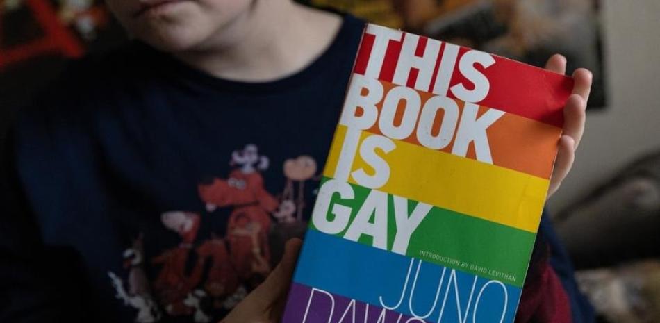 Libro "This book is gay". Fuente externa