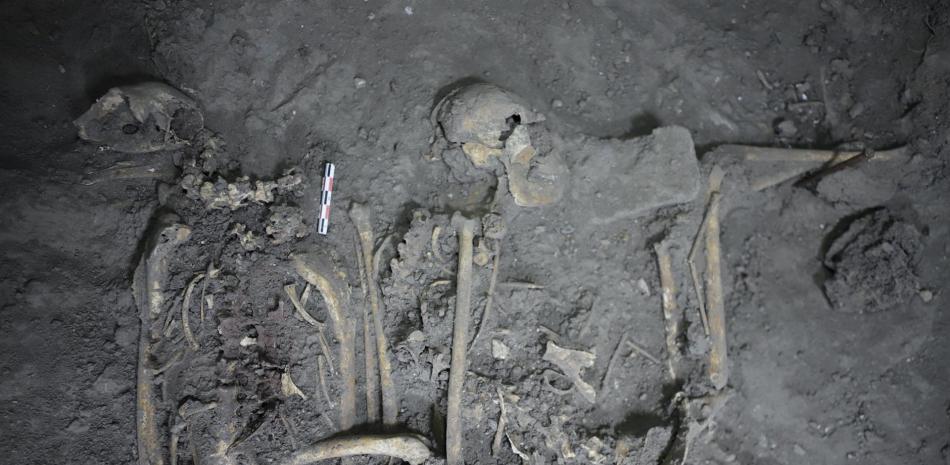 Restos óseos completos de un mono araña hembra de 1.700 años encontrados en Teotihuacán, México. -EP