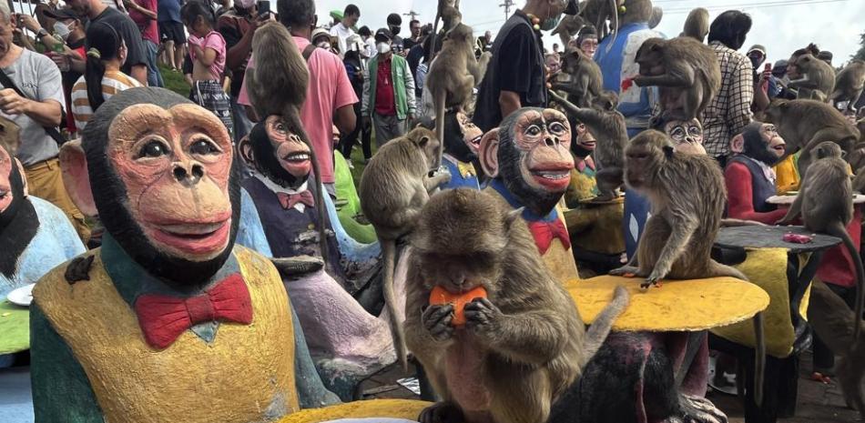 Festival de monos en Tailandia. AP.