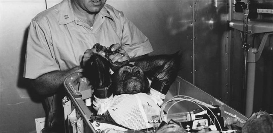 Enos, segundo chimpancé lanzado al espacio y primero en lograr completar la órbita de la Tierra.

Foto: NASA