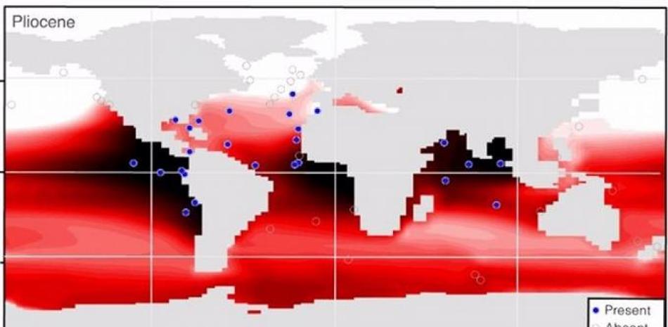 Distribución del foraminífero planctónico G. Hexagonus afiliado a bajo oxígeno y del oxígeno a 600 m en los océanos modernos y del Plioceno. - DAVIS ET AL. /NATURE COMMUNICATIONS