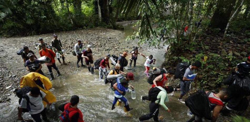 Migrantes cruzan la peligrosa selva del Darién. EFE/ Archivo