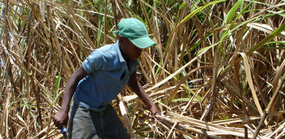 Desde 2009 la industria azucarera dominicana ha estado en la lista por los problemas de trabajo infantil y trabajo forzado, según el informe Archivo /Listin diario