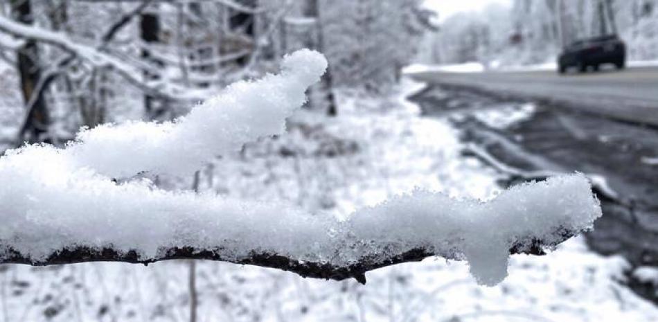 La nieve cubre las ramas de los árboles mientras un vehículo viaja a lo largo de una carretera en el municipio de Sugarloaf, Pensilvania, el lunes 23 de enero de 2023. (John Haeger/Standard-Speller a través de AP)