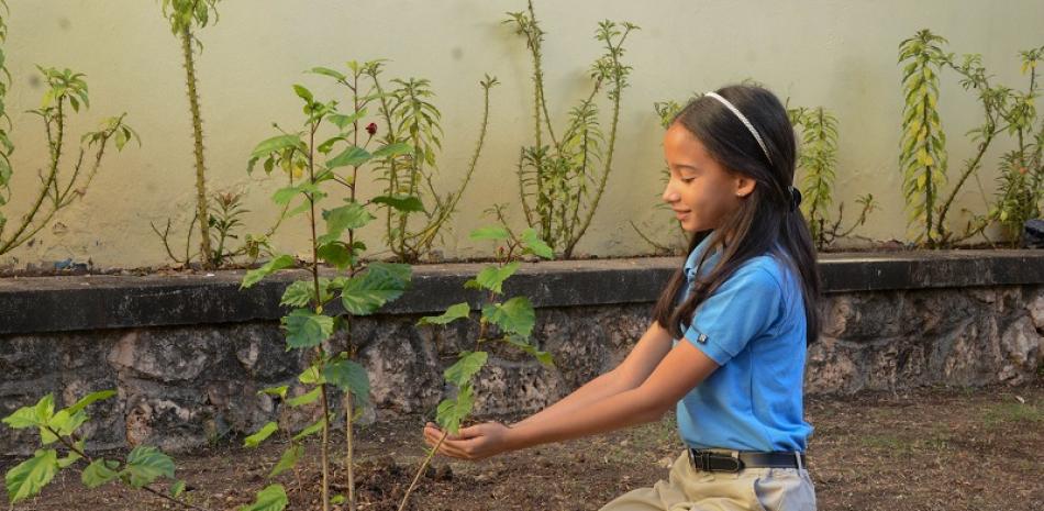El contacto regular y positivo con la naturaleza tiene múltiples beneficios para niños y niñas. Cortesía de Bupa Dominicana