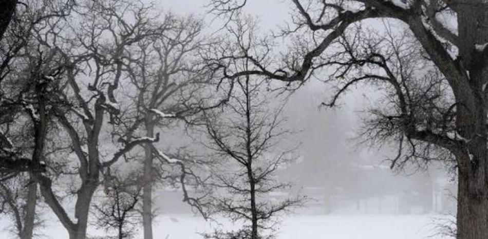 Una persona tira de un trineo en la nieve en Frazier Park el lunes 27 de febrero de 2023, en California. La zona estaba bajo alerta de tormenta invernal hasta el miércoles. (David Crane/The Orange County Register via AP)