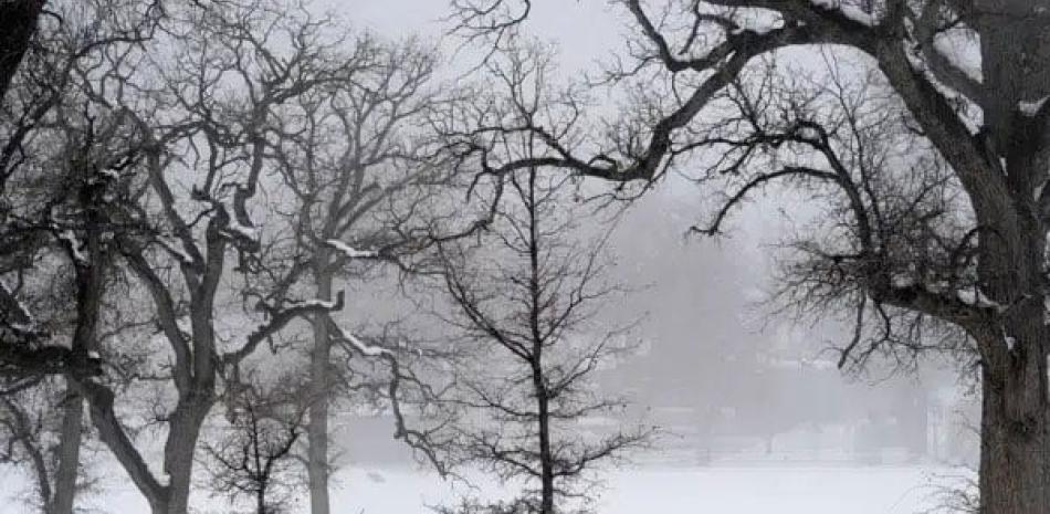Una persona tira de un trineo en la nieve en Frazier Park el lunes 27 de febrero de 2023, en California. La zona estaba bajo alerta de tormenta invernal hasta el miércoles. AP