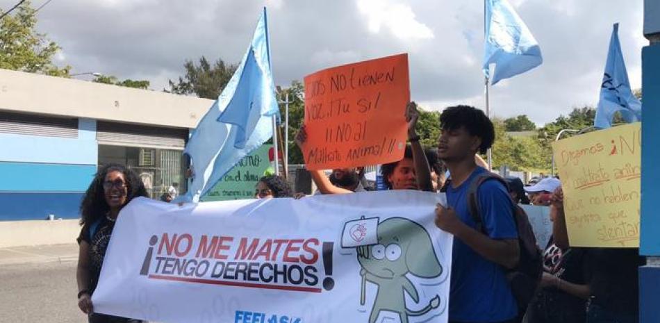 Estudiantes de la UASD protestan por envenenamiento masivo de perros / Melanie Cuevas