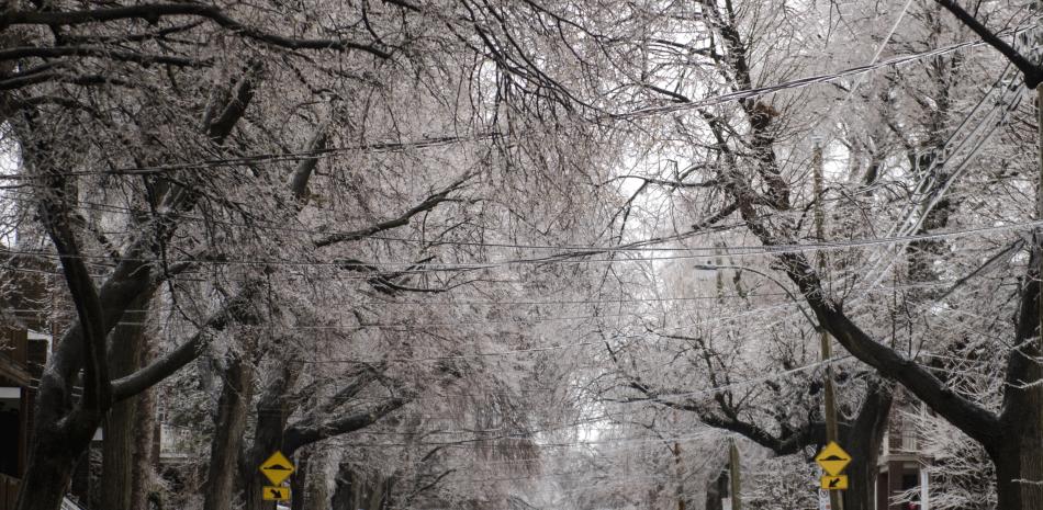 Tormenta de nieve en Canadá. AFP