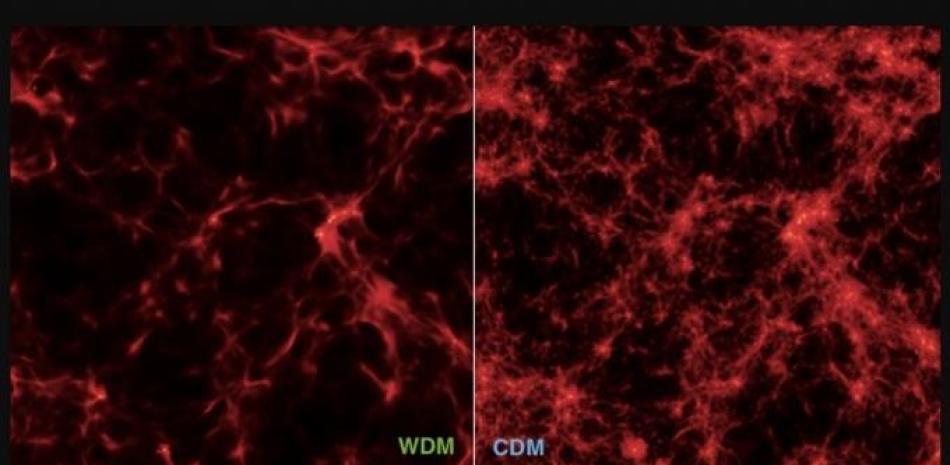 Distribución de materia primordial en modelos cosmológicos con materia oscura caliente (WDM, izquierda) y materia oscura fría (CDM, derecha).

Foto: INAF