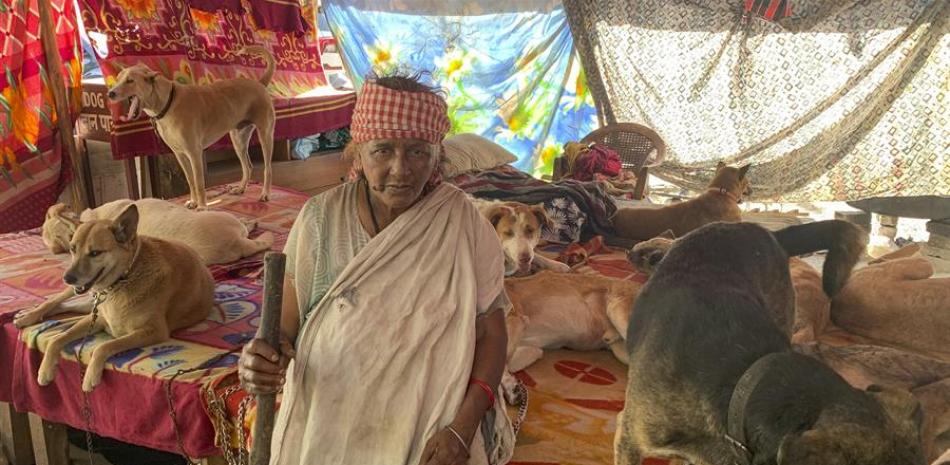 Pratima Devi, anciana también conocida como "la señora de los perros", en su refugio en el que cuida y alimenta a unos 200 animales callejeros en el sur de Nueva Delhi. EFE/Hugo Barcia