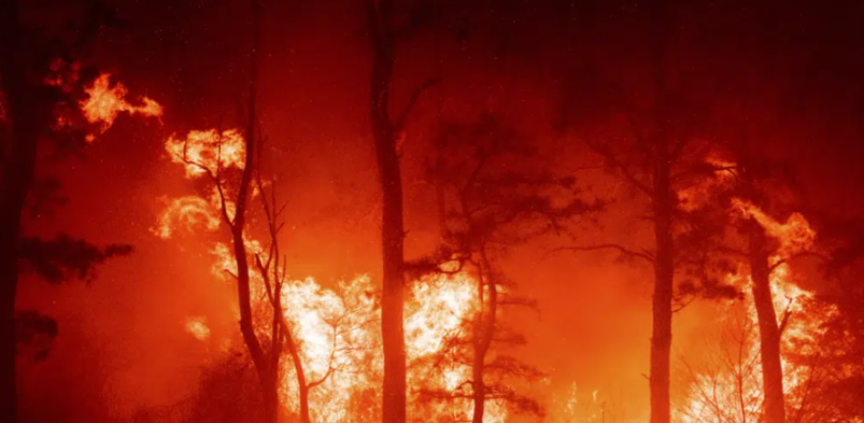 En esta foto proporcionada por el Departamento de Protección Ambiental de Nueva Jersey, un enorme incendio forestal de 2500 acres arde en el condado de Ocean, Nueva Jersey, la madrugada del miércoles 12 de abril de 2023, mientras los bomberos luchan contra las llamas. El fuego comenzó a última hora del martes 11 de abril y está ardiendo en unas 2500 acres (alrededor de 1000 hectáreas). (Departamento de Protección Ambiental de Nueva Jersey vía AP)