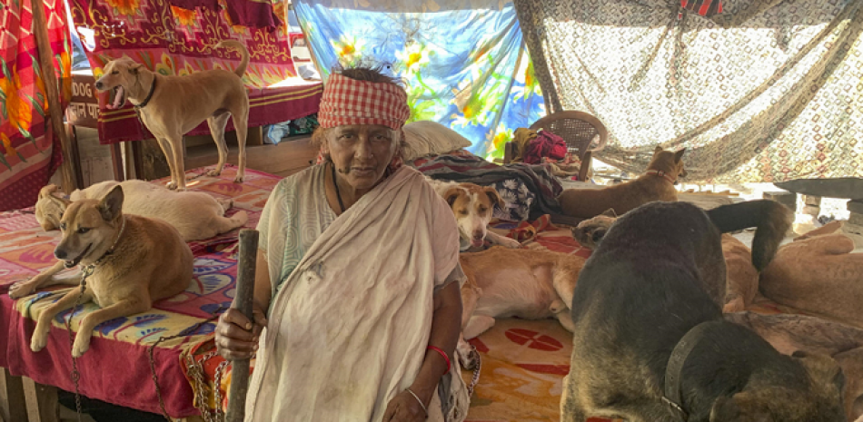 Pratima Devi, anciana también conocida como "la señora de los perros", en su refugio en el que cuida y alimenta a unos 200 animales callejeros en el sur de Nueva Delhi, su trabajo le gana desprecio en su comunidad, un acto que enfrenta a las autoridades y los animalistas entre el aumento de los ataques mortales. EFE
