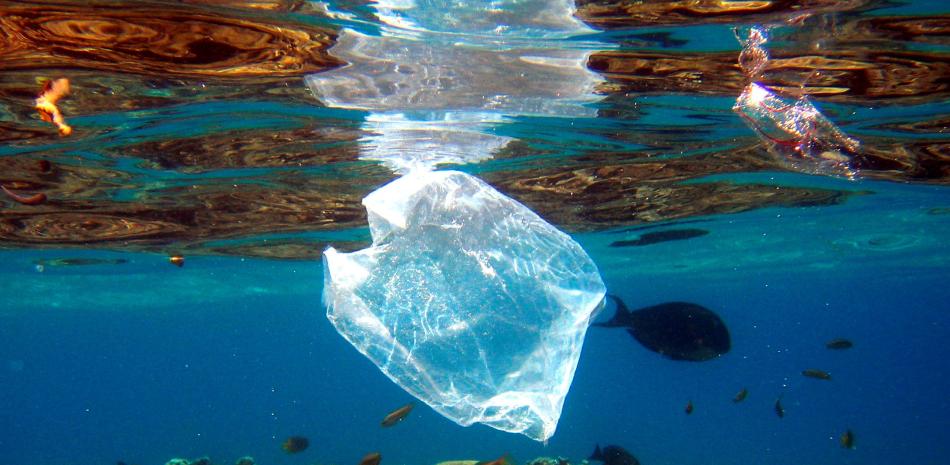 Se sabe que el 5% del plástico que se produce anualmente acaba en los océanos. Este porcentaje parece muy pequeño, pero, como subraya Romera, cuando estamos hablando que anualmente se fabrican 368 millones de toneladas, la cantidad no es despreciable. En la imagen, peces nadan alrededor de una bolsa de plástico en el Mar Rojo cerca de Naama Bay en Egipto.