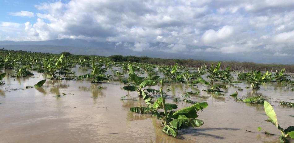 Extensas plantaciones de cultivos agrícolas en el Sur, como esta de plátano, fueron totalmente anegadas por los fuertes torrenciales de la vaguada sobre el país.