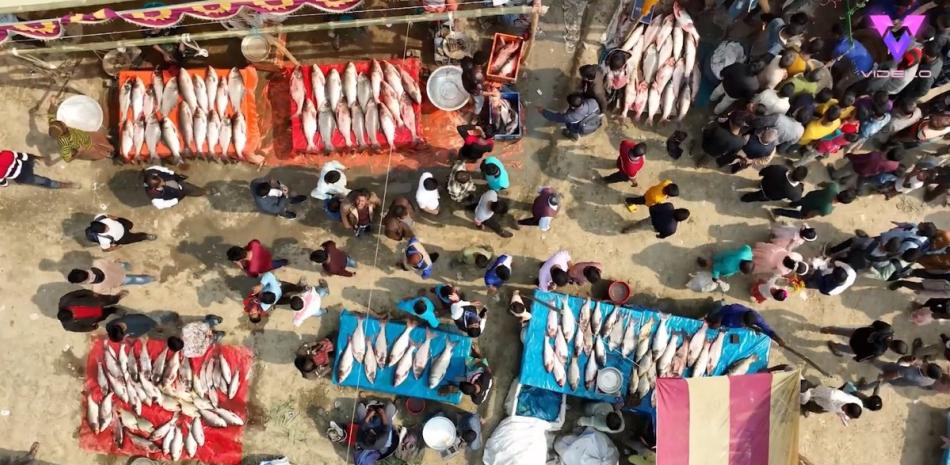 Instantáneas únicas de la Fiesta del Pescado: Una tradición popular con más de 400 años de antigüedad.

Un fotógrafo ha captado instantáneas únicas de un festival tradicional del pescado que se celebra hace más de 400 años.