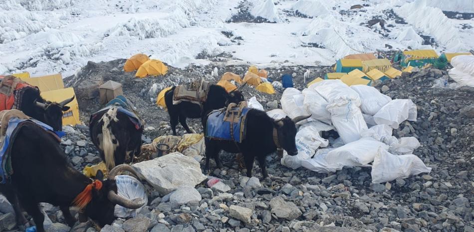 Recogida de basura en el campamento base del monte Everest.
