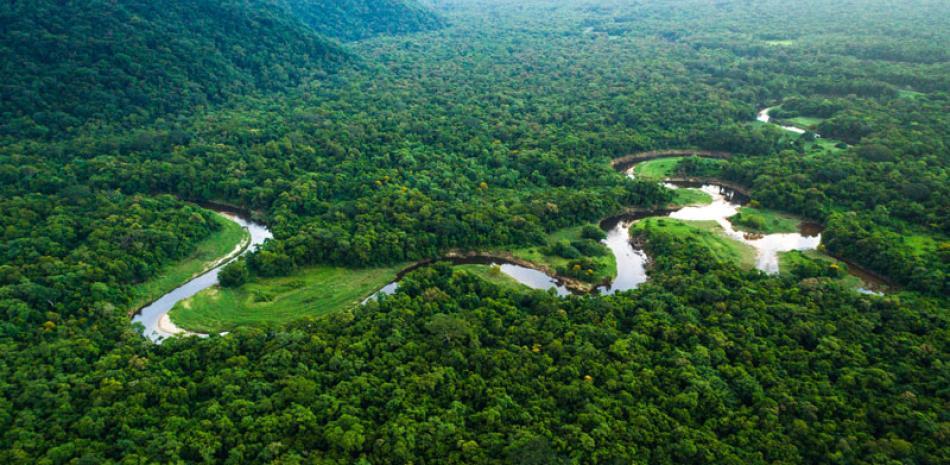 Vista panorámica del Amazonía
