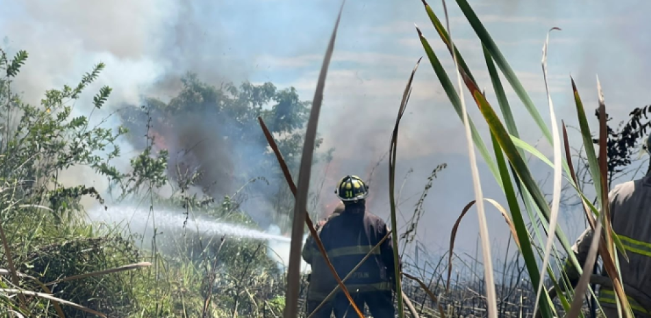 Los bomberos forestales sofocaron el incendio originado dentro de los límites del área protegida del Monumento Natural Lagunas de Cabarete y Goleta, ubicado en Sosúa, Puerto Plata