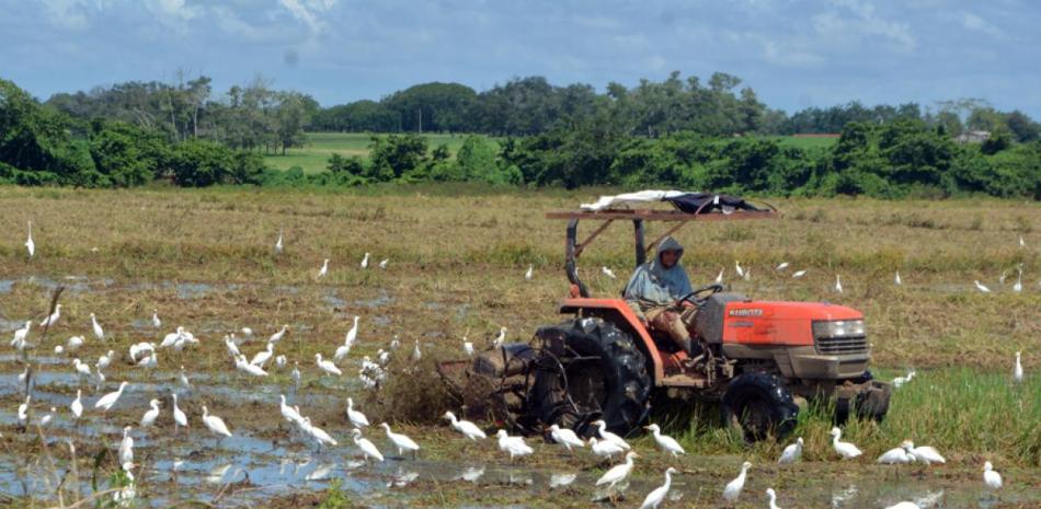 El 82% del agua con que cuenta el país se usa en los predios agrícolas, y de esta el 70%  se pierde por la implementación de un inadecuado sistema de riego.