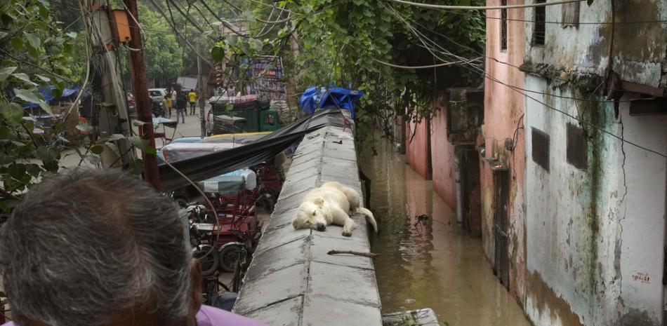 Inundaciones en la India