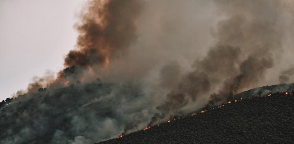 Imagen ilustrativa de un desastre natural:  incendio forestal.