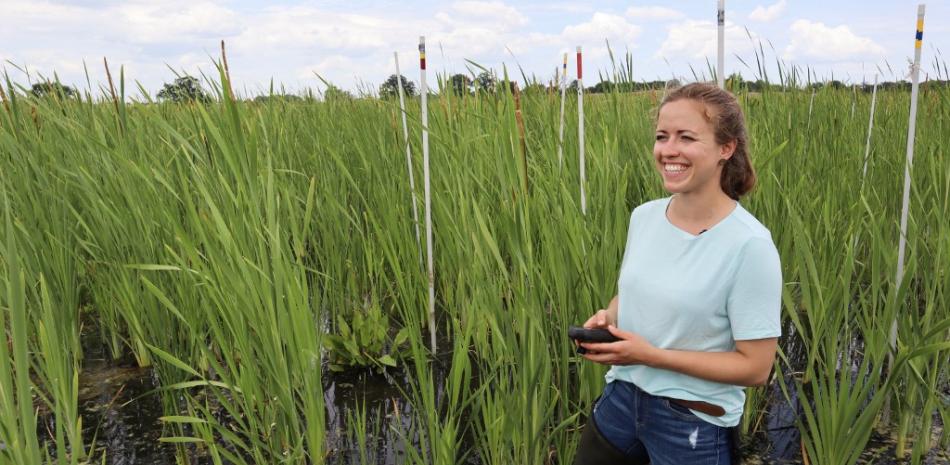 La científica alemana Meline Brendel, especializada en paludicultura y ecología vegetal en el Greifswald Mire Centre, controla la altura y la calidad del agua en un pantano de una zona de turberas rehumedecidas en Neukalen, cerca de Malchin, al noreste de Alemania, el 15 de junio de 2023