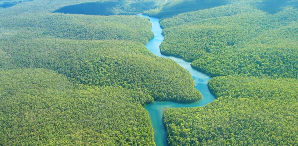 Los países amazónicos plasmaron su parecer en un largo listado de intenciones con pocas acciones concretas para frenar la deforestación del bioma.