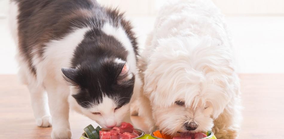 Los propietarios deben tener en cuenta las necesidades nutricionales de sus animales al momento de comprarles alimentos.