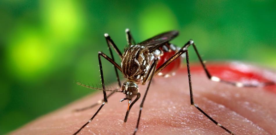 El país está siendo afectado por un aumento de los casos de dengue.
