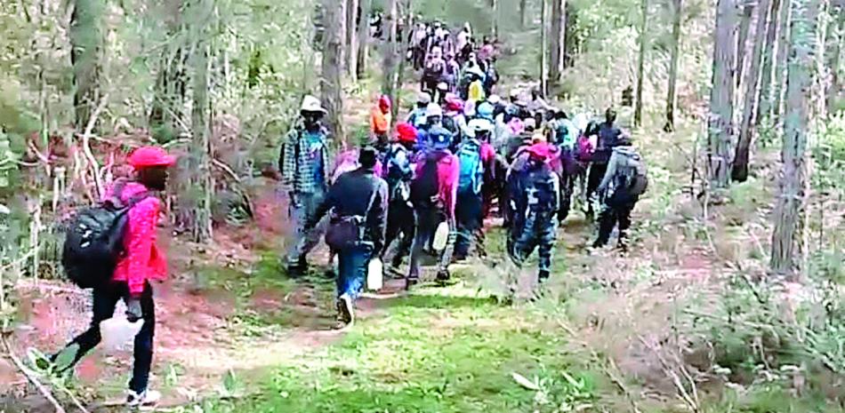 Rompiendo lomas, migrantes ilegales haitianos penetraron al país por Bahoruco.