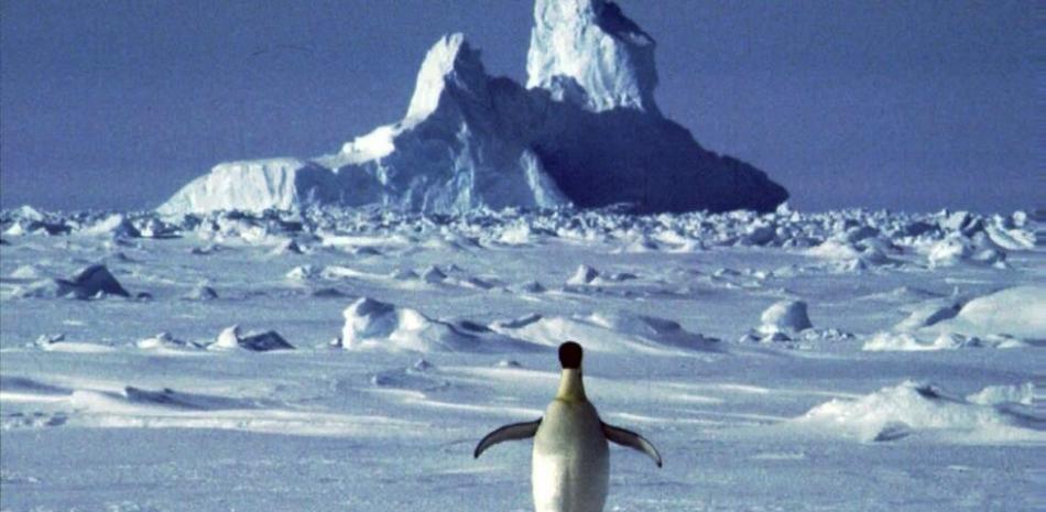 "Una de las cosas más lindas o impactantes de Antártida es que es un lugar donde todavía predomina el silencio", dice Natalia Jaramillo a RFI.