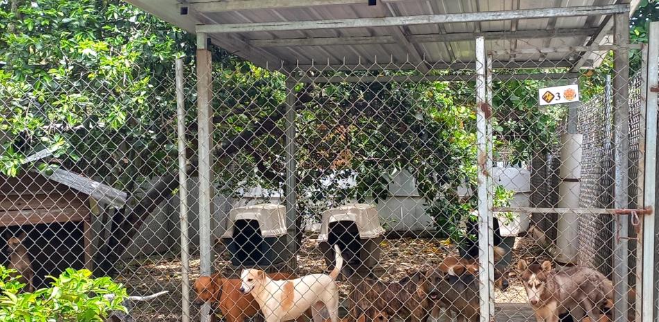 El lugar donde albergan los animales para darles alimentos, agua y medicina y un trato de cuidado especial.