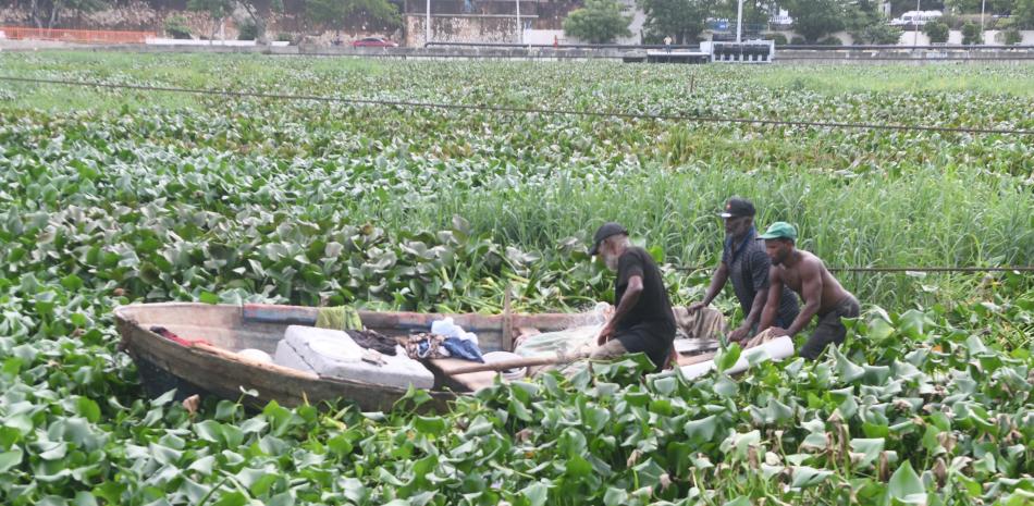 Pescadores intentan movilizar botes en medio de las lilas